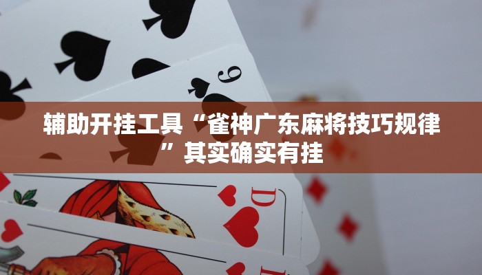 辅助开挂工具“雀神广东麻将技巧规律”其实确实有挂