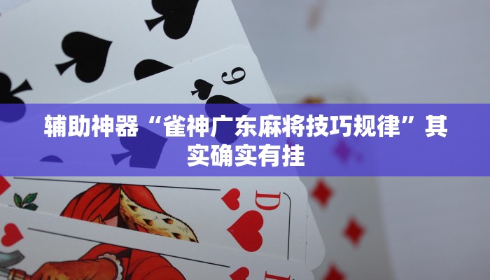辅助神器“雀神广东麻将技巧规律”其实确实有挂