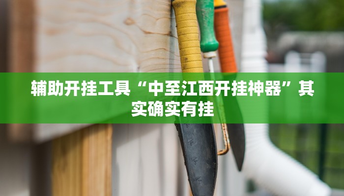 辅助开挂工具“中至江西开挂神器”其实确实有挂