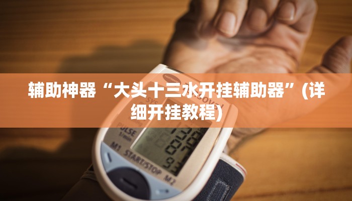 辅助神器“大头十三水开挂辅助器”(详细开挂教程)
