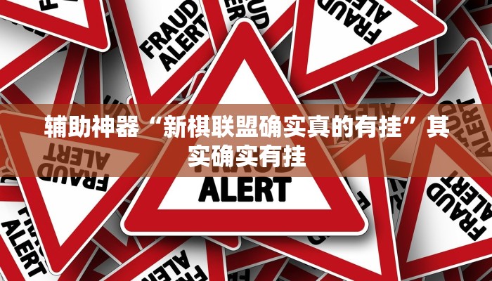 辅助神器“新棋联盟确实真的有挂”其实确实有挂