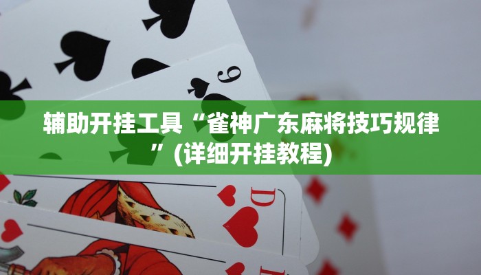 辅助开挂工具“雀神广东麻将技巧规律”(详细开挂教程)