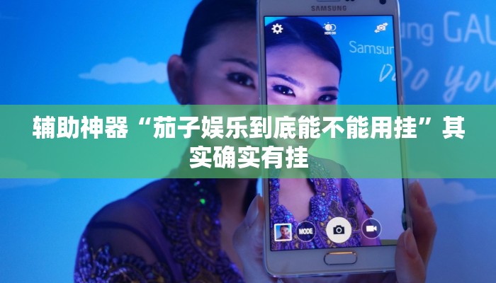 辅助神器“茄子娱乐到底能不能用挂”其实确实有挂