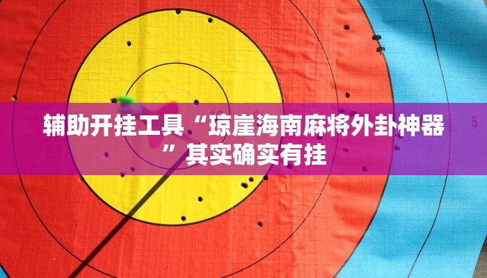 辅助开挂工具“琼崖海南麻将外卦神器”其实确实有挂