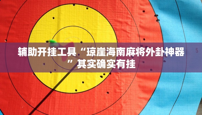 辅助开挂工具“琼崖海南麻将外卦神器”其实确实有挂