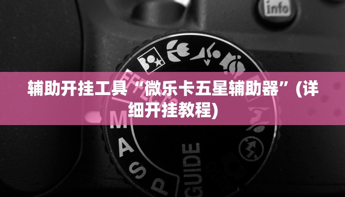 辅助开挂工具“微乐卡五星辅助器”(详细开挂教程)