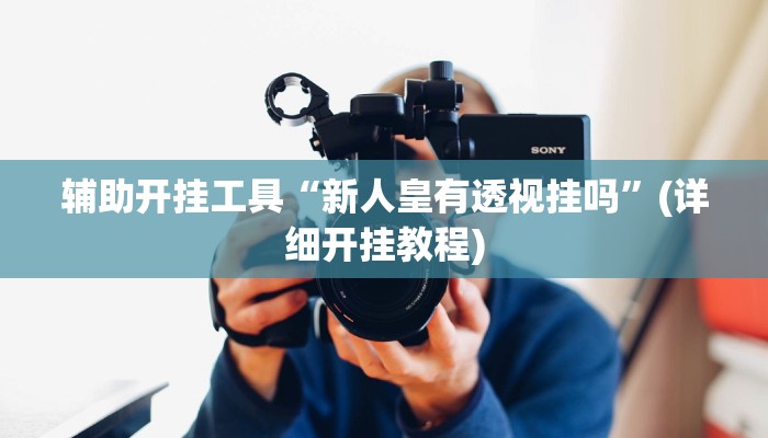 辅助开挂工具“新人皇有透视挂吗”(详细开挂教程)
