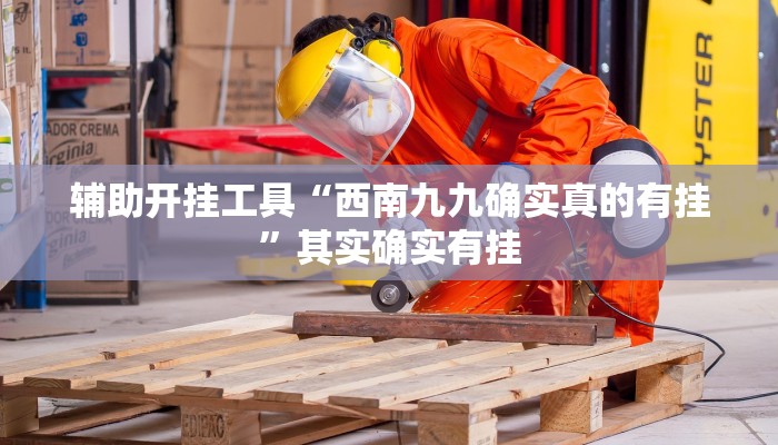 辅助开挂工具“西南九九确实真的有挂”其实确实有挂