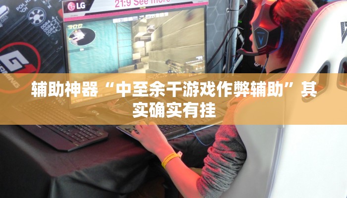 辅助神器“中至余干游戏作弊辅助”其实确实有挂