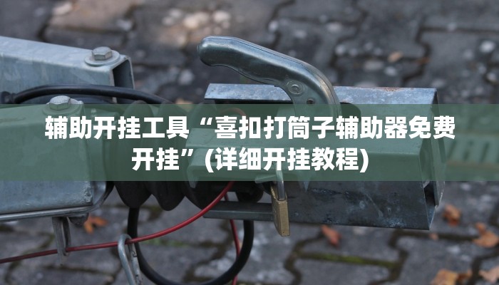 辅助开挂工具“喜扣打筒子辅助器免费开挂”(详细开挂教程)