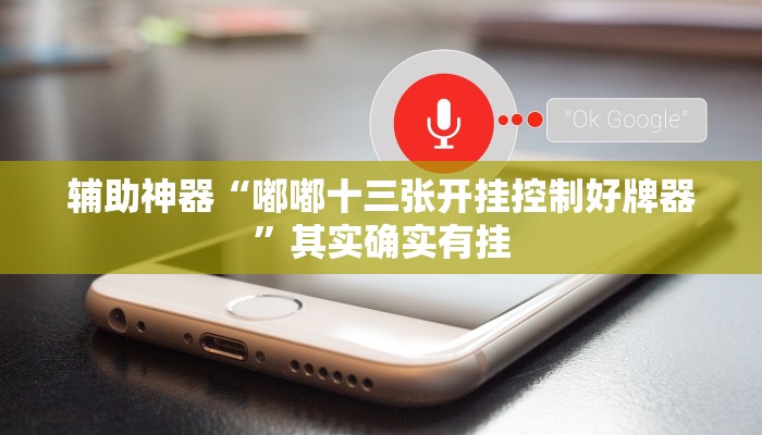 辅助神器“嘟嘟十三张开挂控制好牌器”其实确实有挂