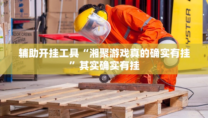 辅助开挂工具“湘聚游戏真的确实有挂”其实确实有挂