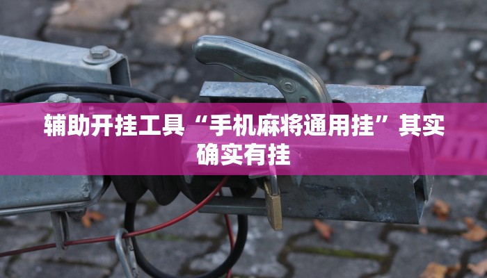 辅助开挂工具“手机麻将通用挂”其实确实有挂