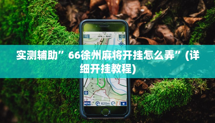 实测辅助”66徐州麻将开挂怎么弄”(详细开挂教程)