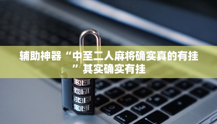 辅助神器“中至二人麻将确实真的有挂”其实确实有挂