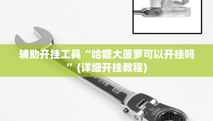 辅助开挂工具“哈糖大菠萝可以开挂吗”(详细开挂教程)