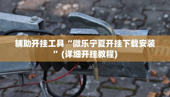 辅助开挂工具“微乐宁夏开挂下载安装”(详细开挂教程)