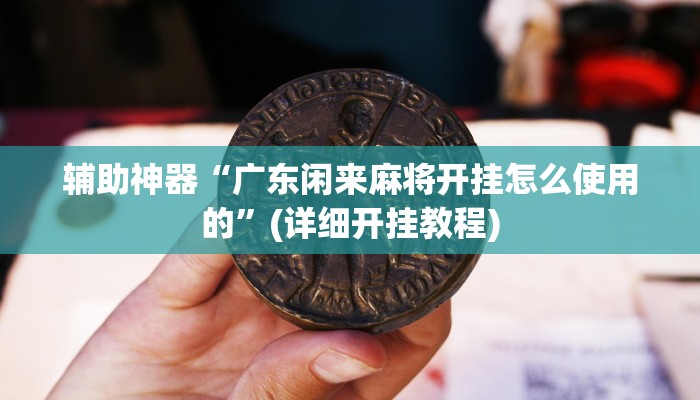 辅助神器“广东闲来麻将开挂怎么使用的”(详细开挂教程)