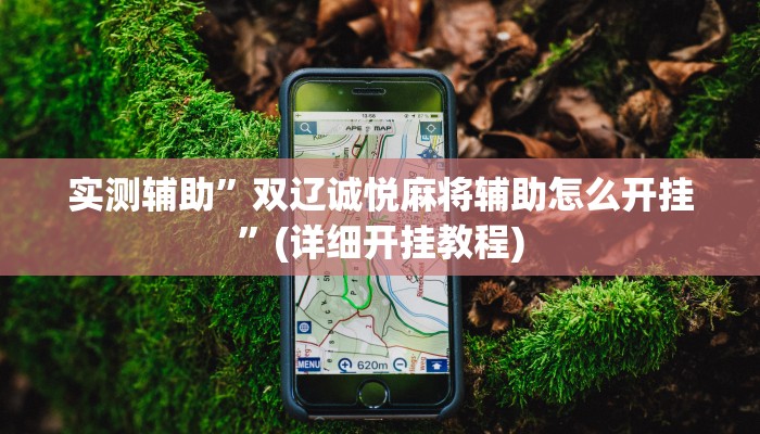 实测辅助”双辽诚悦麻将辅助怎么开挂”(详细开挂教程)