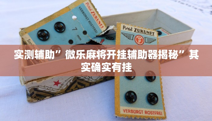 实测辅助”微乐麻将开挂辅助器揭秘”其实确实有挂