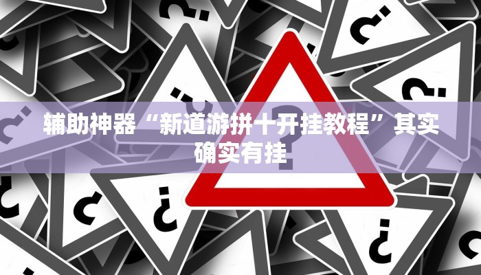 辅助神器“新道游拼十开挂教程”其实确实有挂